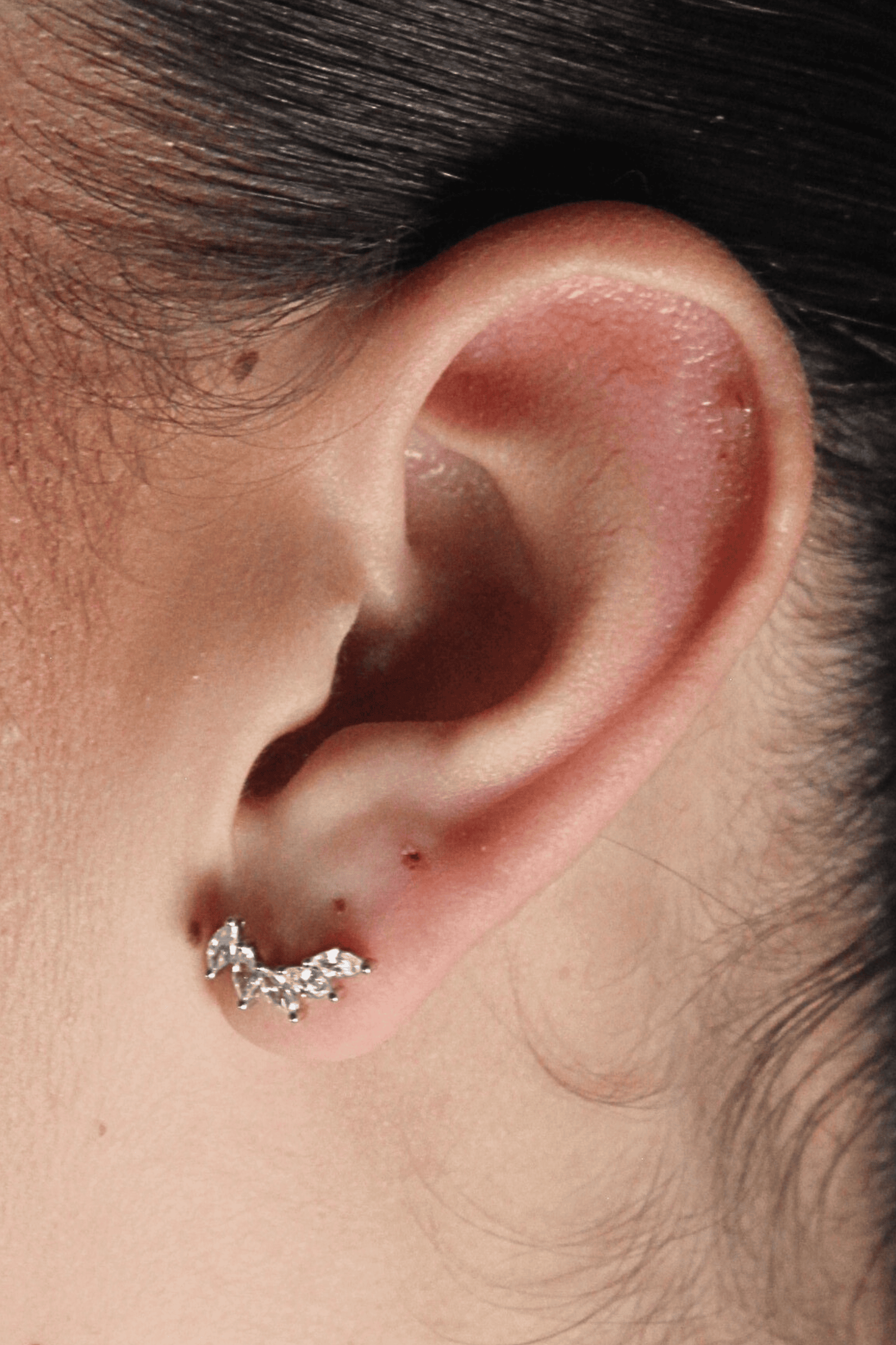 עגילי כנפיים - כסף